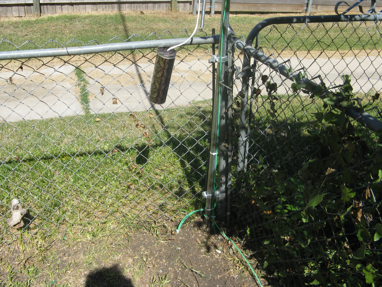 Antenna pole and grounds at back of yard